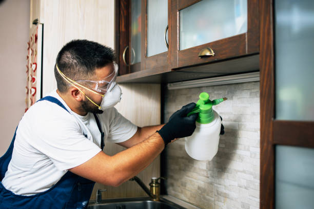 Best Flea Control Services  in Central City, IL