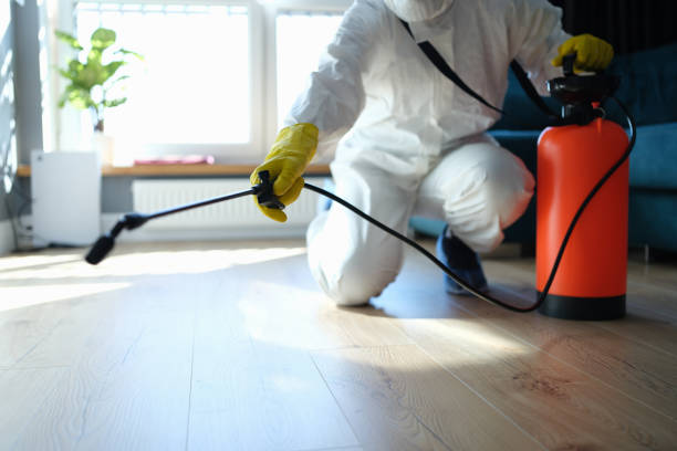 Best Affordable Pest Control Services  in Central City, IL