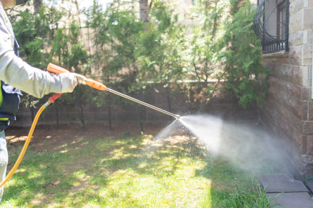 Best Best Pest Control Companies  in Central City, IL